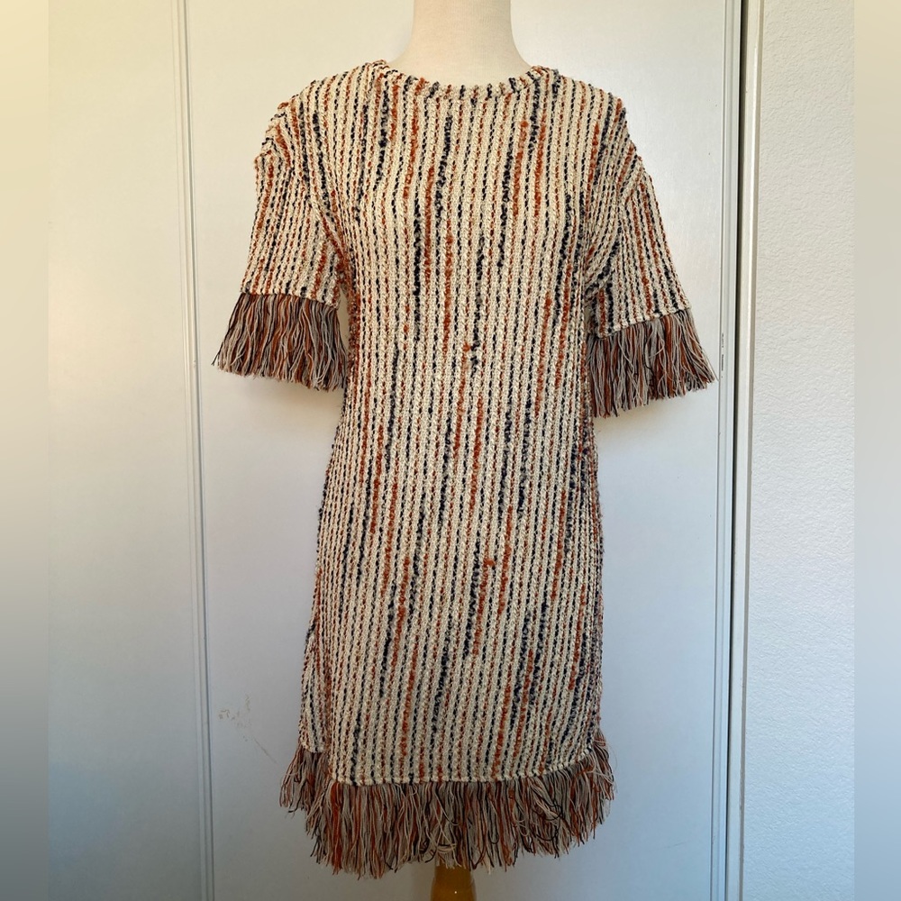 ZARA Trafaluc Dress with fringe